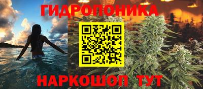 гашик Ливны