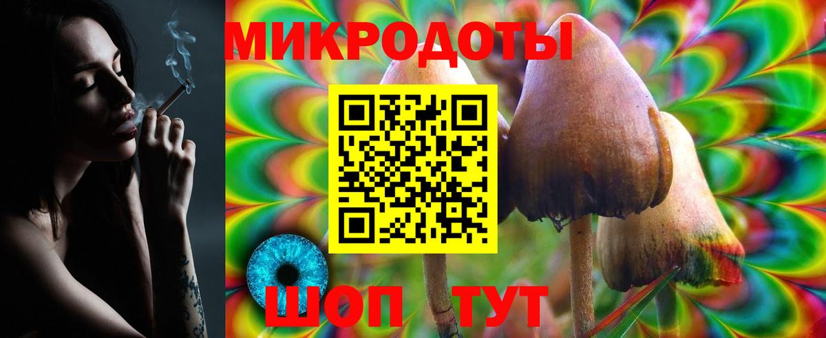 Псилоцибиновые грибы Psilocybine cubensis Ухта